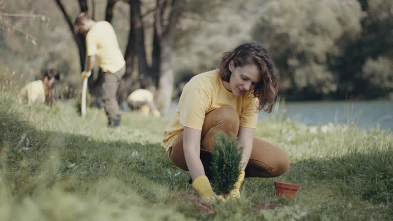 Best Pest Control for Lawns  in Massapequa Park, NY