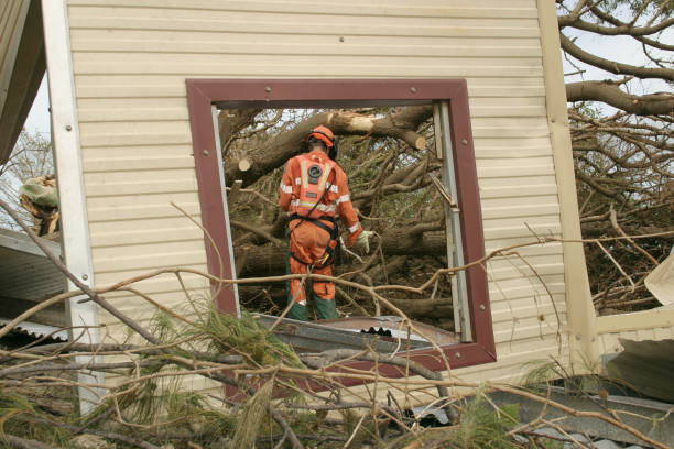 Best Commercial Tree Services  in Massapequa Park, NY