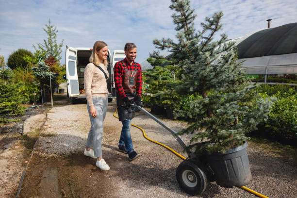 Best Storm Damage Tree Cleanup  in Massapequa Park, NY