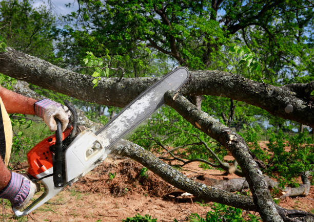 Mulching Services in Massapequa Park, NY